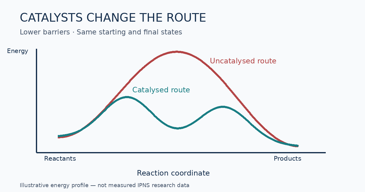 Illustrative catalysed and uncatalysed reaction energy profiles showing lower activation barriers for the catalysed pathway
